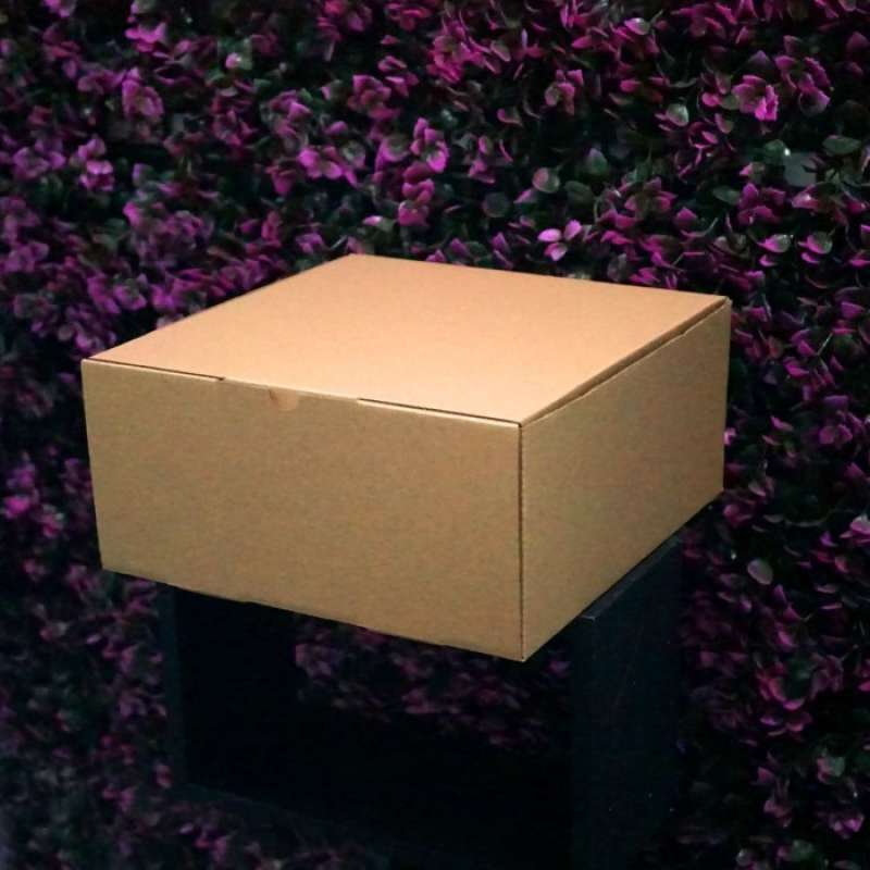 Jual Kotak Packaging Polos Tinggi 25 X 25 X 12 Cm - Pizza Box - Kotak