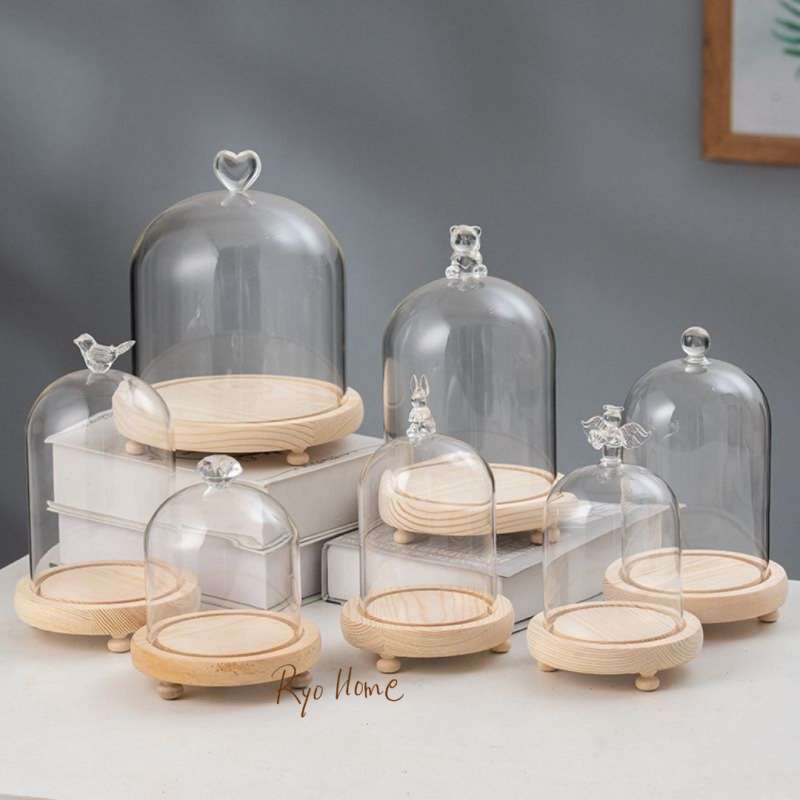 Jual [ RYO ] BEVAN Display Glass Dome Dengan Handle NON LED Lights