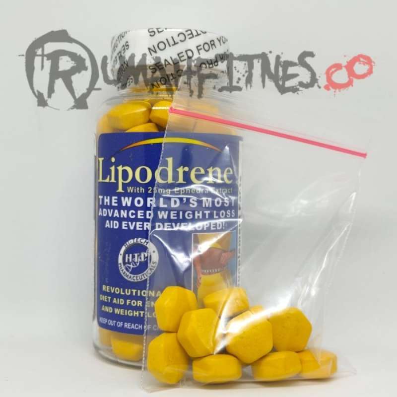 Jual Lipodrene Fat Burner Eceran 30 Kapsul Di Seller Anes Medika Center