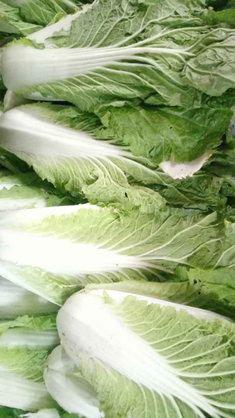 Jual Sawi Putih 250 Gram di Seller Sembako Sayuran Online Bogor - Kota