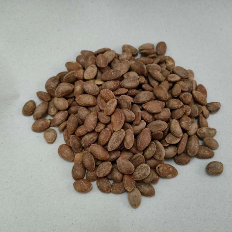 Jual Gua Lou Ren Trichosanthes Snakegourd 100 Gram Di Seller Toko Obat