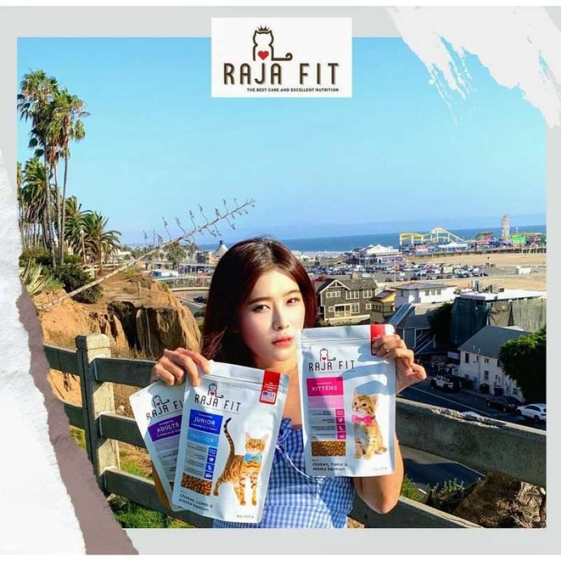 Promo [no Brand] Makanan Kucing Raja Fit Rajafit No Rc Long Hair Skin ...