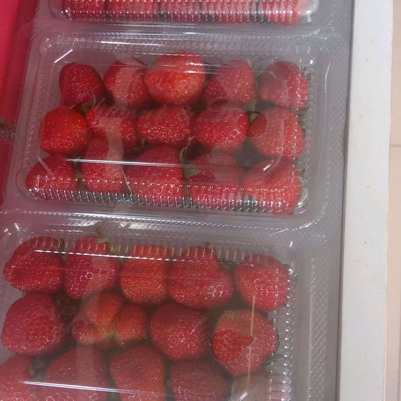 Jual Strawberry Organik Fresh [150 gr/Jakarta ] Halal di Seller