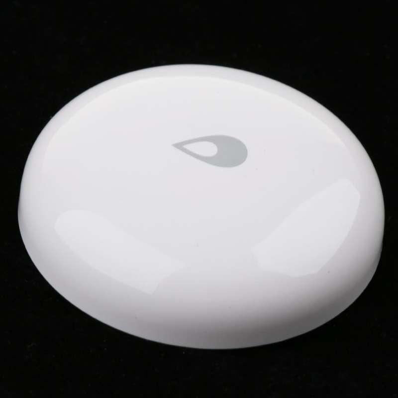 Jual Immersion Water Alarm Water Leak Sensor Detector Remote Controlled ...
