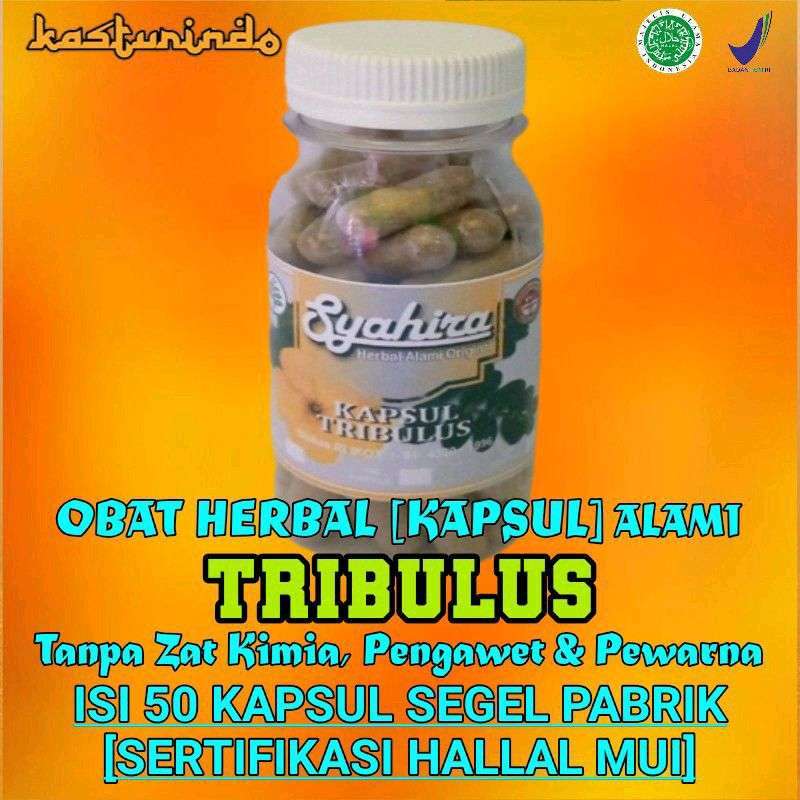 Jual Obat Herbal Kapsul Tribulus Ekstrak Tanaman Putri Malu Alami 50
