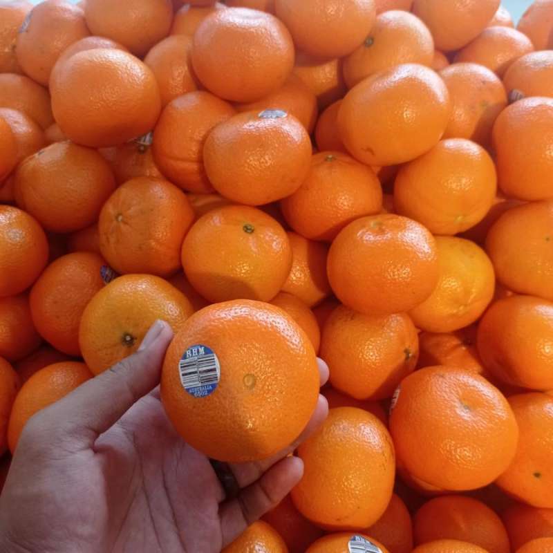 Jual Jeruk Online: Panduan Lengkap dari Petani hingga Konsumen