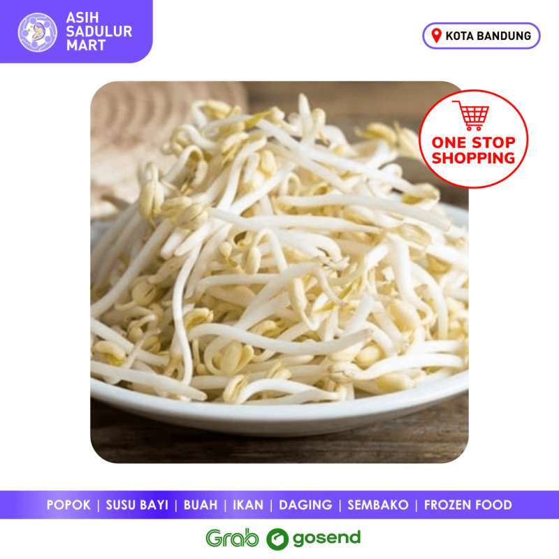 Jasa Pendirian Yayasan Lebak Gede Bandung