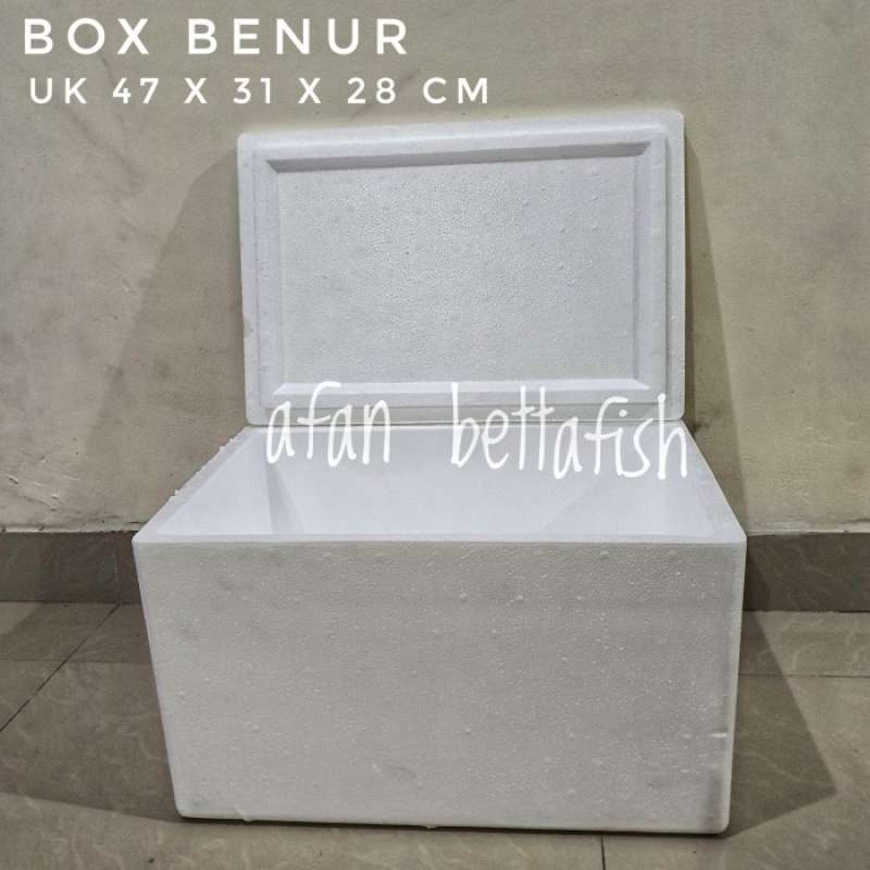 Jual Styrofoam Box Benur / Ikan / Fish / Seafood di Seller SoftStore