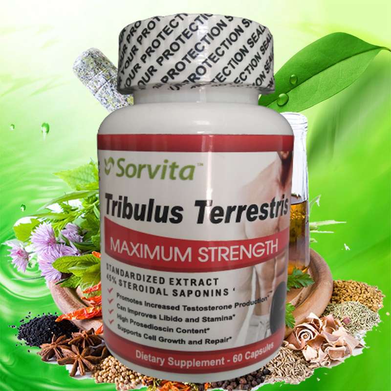 Jual Sorvita Tribulus Terrestris Maximum Strength Vitamin Otot Dan