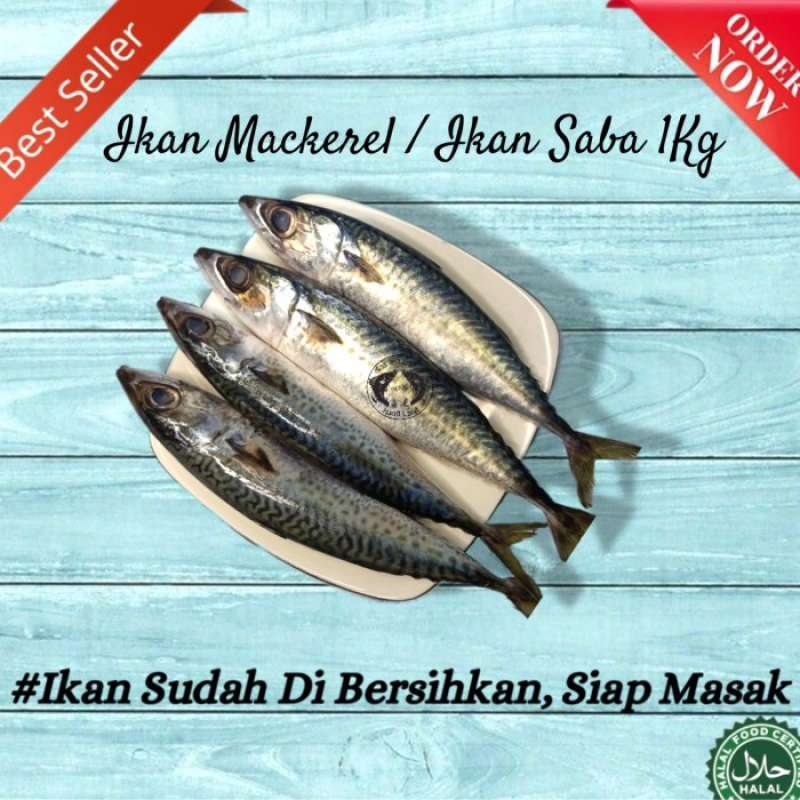 Jual ikan mackerel / ikan Saba Segar / ikan Sarden Fresh 1 KG di Seller