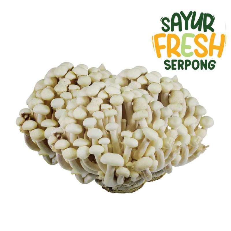 Jual Jamur Shimeji Per 1 Pack Halal di Seller SAYUR FRESH SERPONG