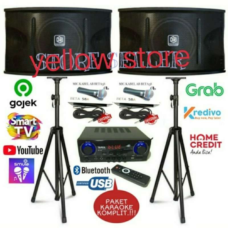 Promo Paket Karaoke 3R Professional Sound System 10inch Ampli input
