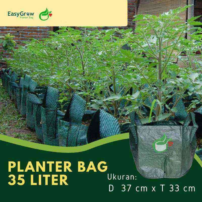 Торт bee swarm. Ticket planter. Ticket planter. Торт bee swarm. Плентеры пчеловод роблокс.