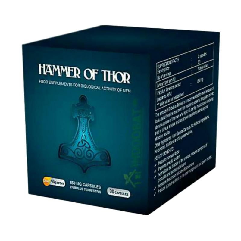 jual agen resmi hammer of thor italy suplement pria perkasa harga kualitas terjamin jual agen resmi hammer of thor italy suplement pria perkasa harga kualitas terjamin