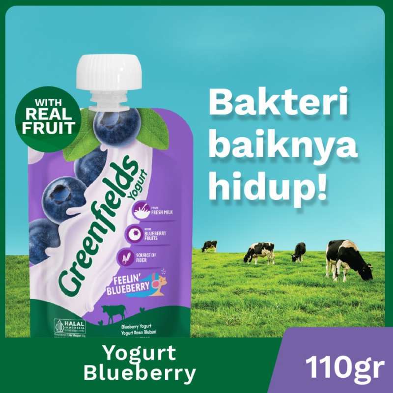 Jual SAMEDAY / INSTAN Greenfields Yogurt Pouch Blueberry 110gr