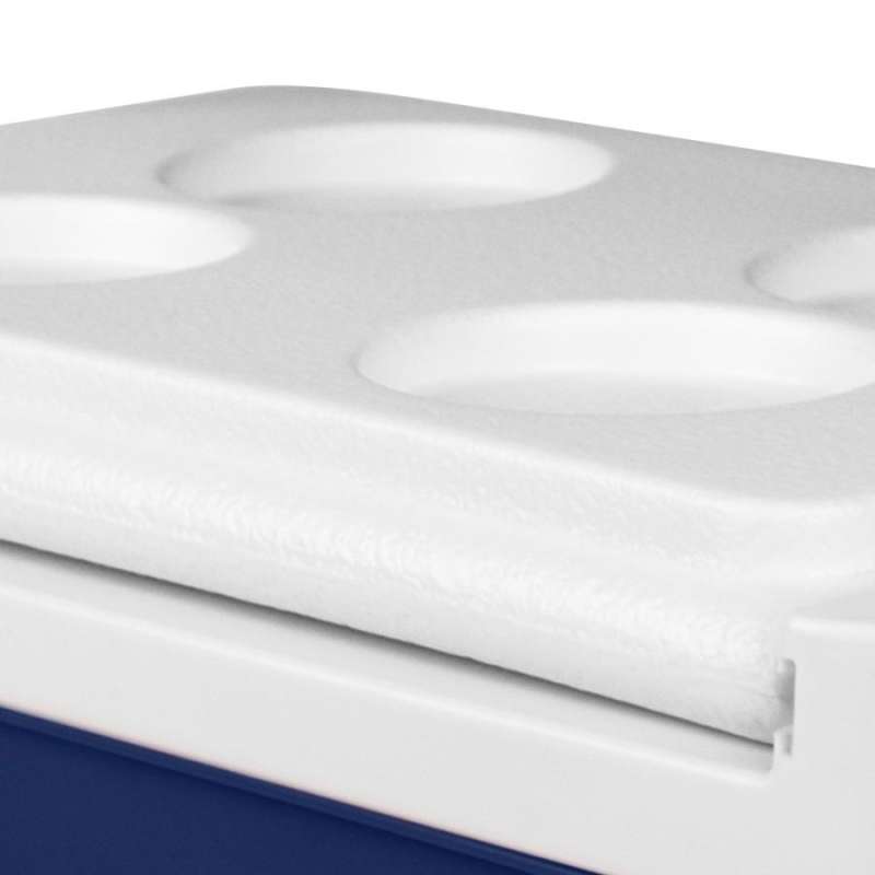 Jual Ace Igloo 5 Ltr Cooler Box Biru di Seller Dewi Ardila Kota Depok Blibli