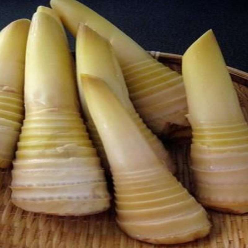 Jual REBUNG SAYURAN SEGAR TUNAS BAMBU MUDA 500GRM di Seller FEDORA MART