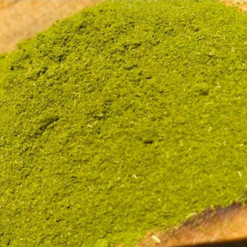 Jual Daun Melinjo 1 Kilo 🔥 Promo Blibli 15th Salebration