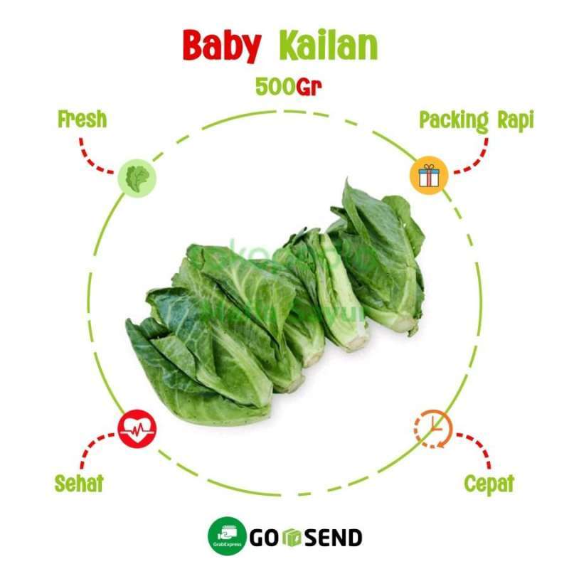 Jual Baby Kailan Kaylan Fresh Vegetable Di Seller Mafia Sayur jual-baby-kailan-kaylan-fresh-vegetable-di-seller-mafia-sayur