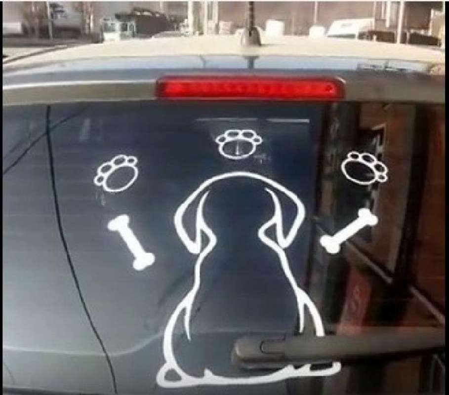 Jual Sticker Wiper Belakang 🏷️ Original Terbaru, Terlengkap, & Harga ...