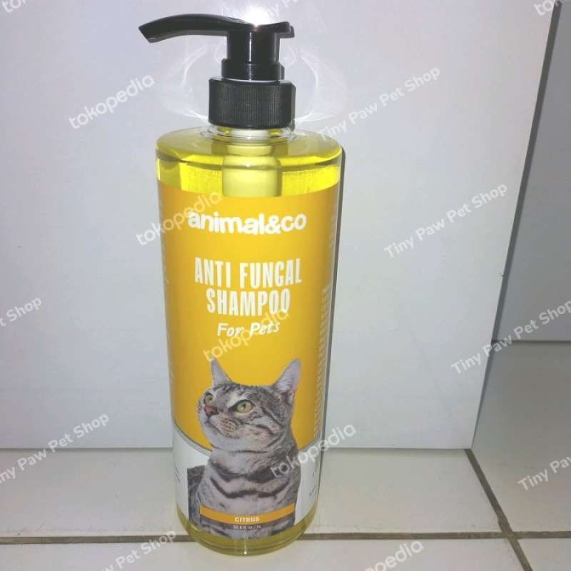 Promo Shampo animal & co for cat & doog anti fungal citrus 1 liter