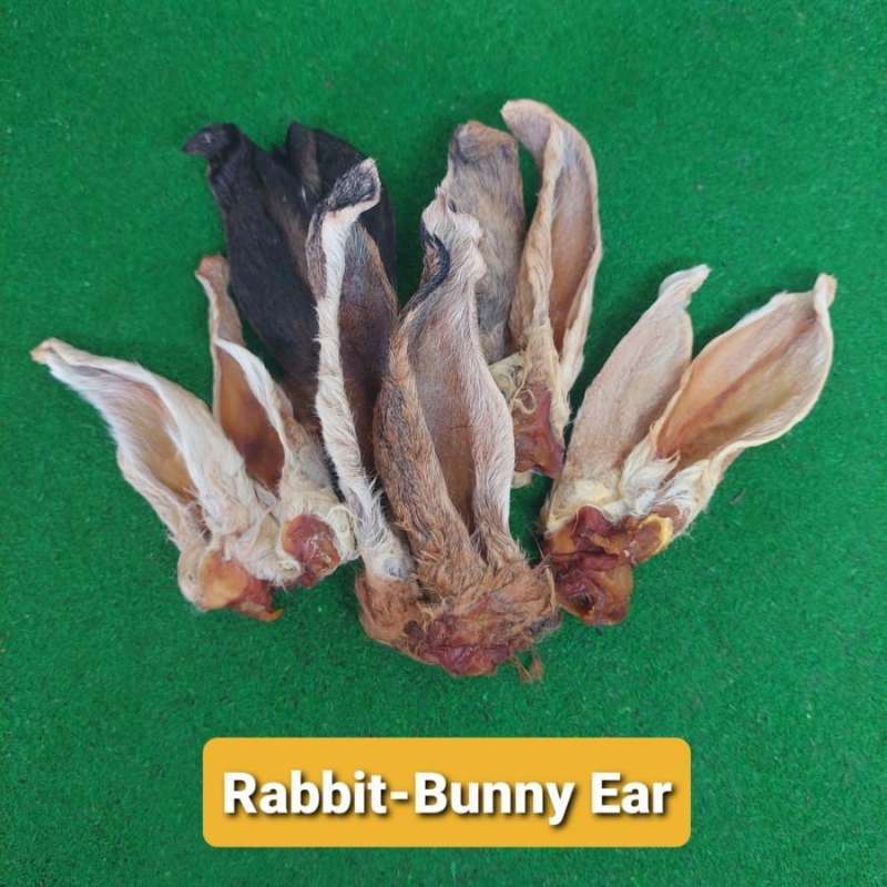 Jual RumahBully Rabbit Bunny Ear Dehydrated Dog Cat Snack Jerky