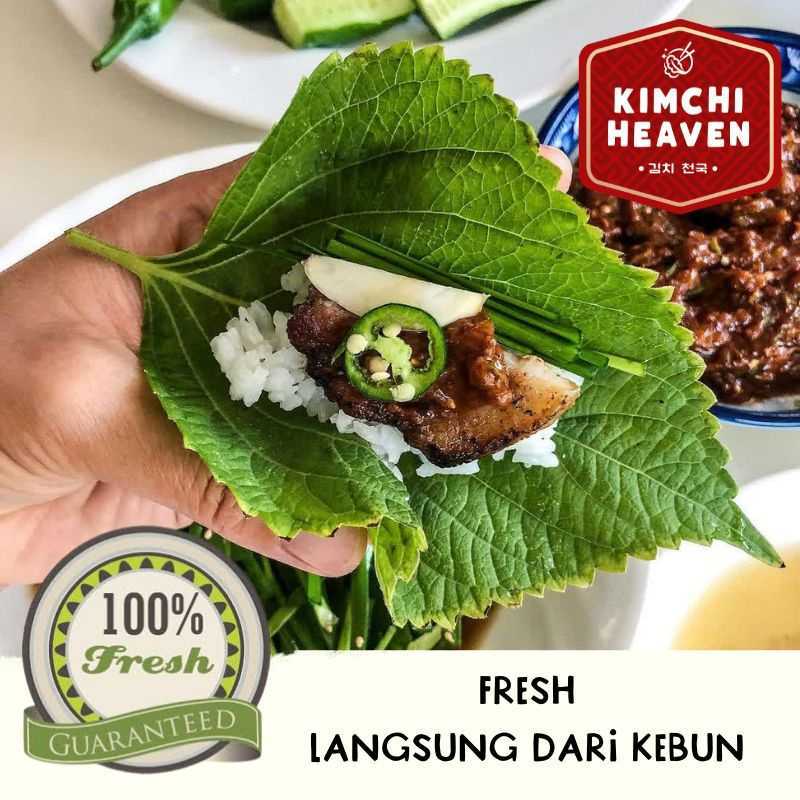 Jual Daun Perilla 200g / daun kkaenip / perilla leaf / daun bbq wrap