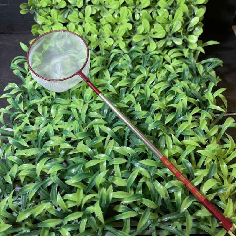 Jual SEROKAN ikan STAINLESS STEEL PENYARING ARTEMIA BENTUK BULAT di