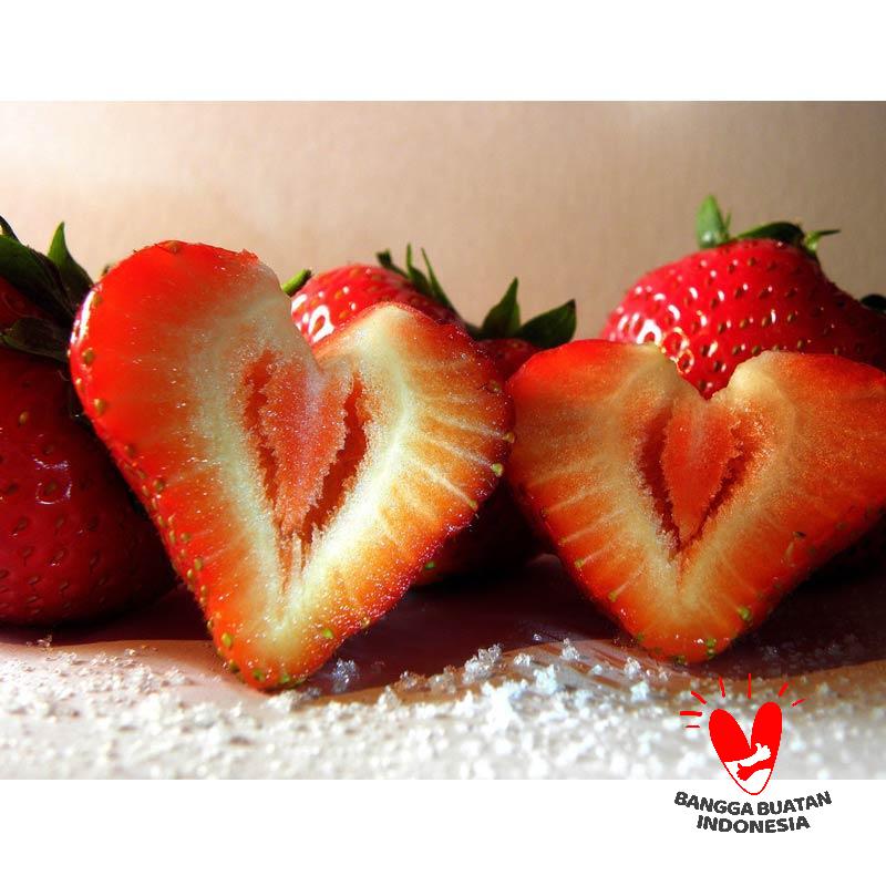 jual onmart indonesia bibit strawberry big jual onmart indonesia bibit strawberry big