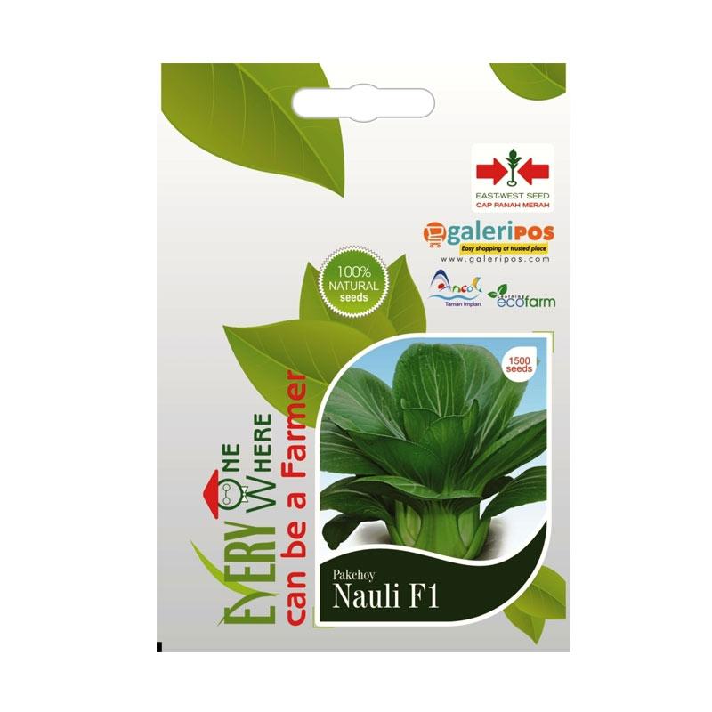 jual panah merah pakchoy nauli f1 bibit tanaman 1 500 jual panah merah pakchoy nauli f1 bibit tanaman 1 500