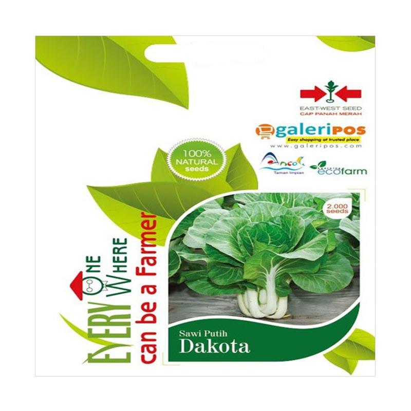 Jual Panah Merah Bibit Sawi Putih Dakota Personal Benih Tanaman [Pouch/ 2000 Biji] Online 