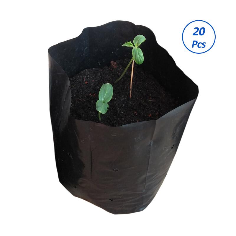 Jual DebbyGarden Tanaman Ukuran Sedang Plastik Polybag