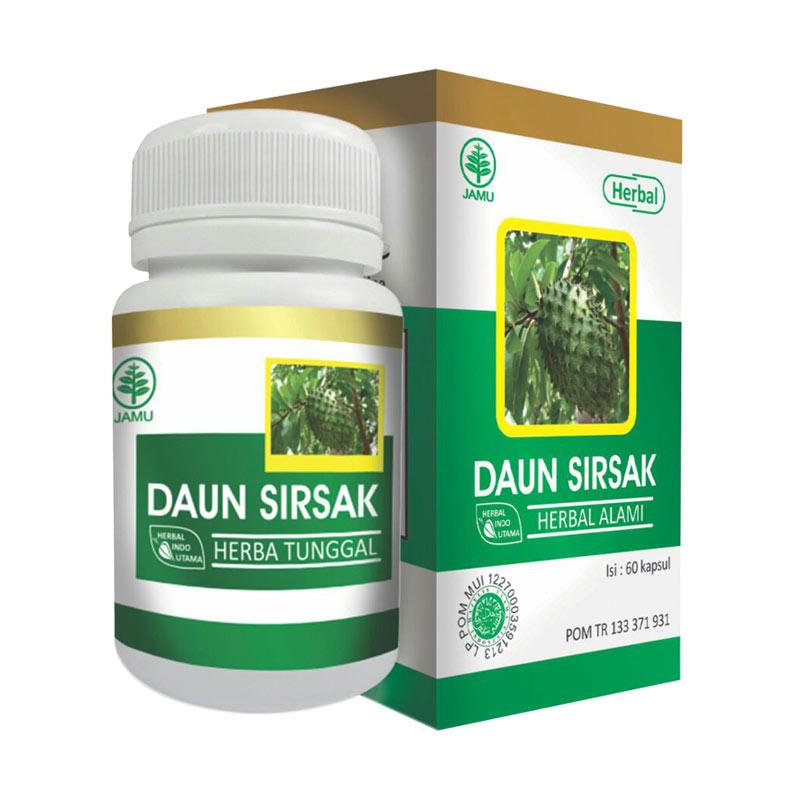 Terkeren 27 Gambar Daun Obat Herbal Richa Gambar