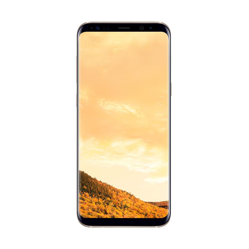 Jual Promo Citibank - Samsung Galaxy S8+ Smartphone 