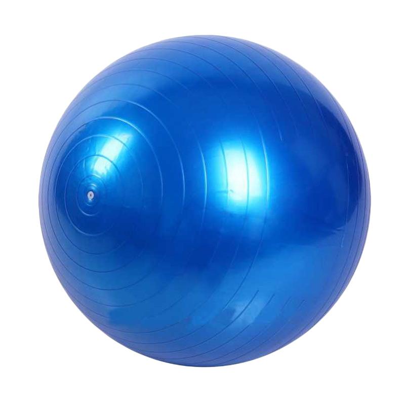 Jual OEM Bola  Yoga Biru  65 cm Online Harga 