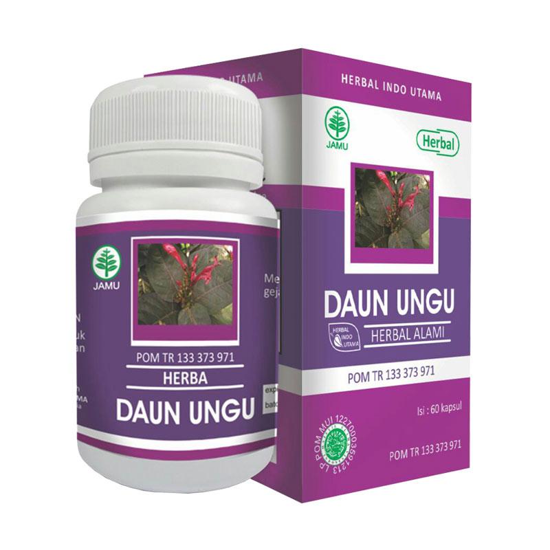 Jual Daun Ungu HIU Herbal Indo Utama 60 Kapsul Online 
