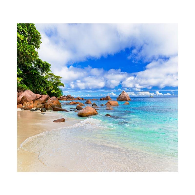 Paling Keren 10+ Wallpaper Dinding Pantai 3d - Joen Wallpaper