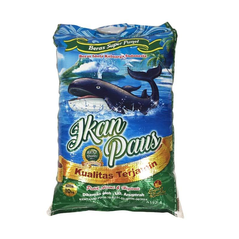 Jual Daily Deals Ikan Paus Beras  Super 10 kg  Online 