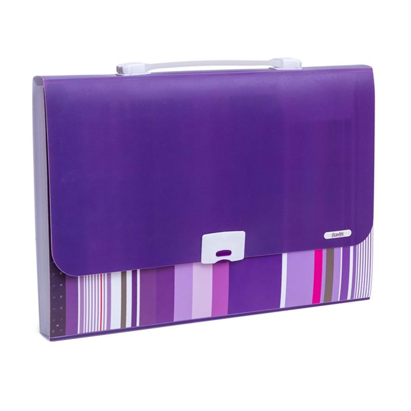 Jual Bantex #3608 21 Fancy Stripes 13 Pocket Folio