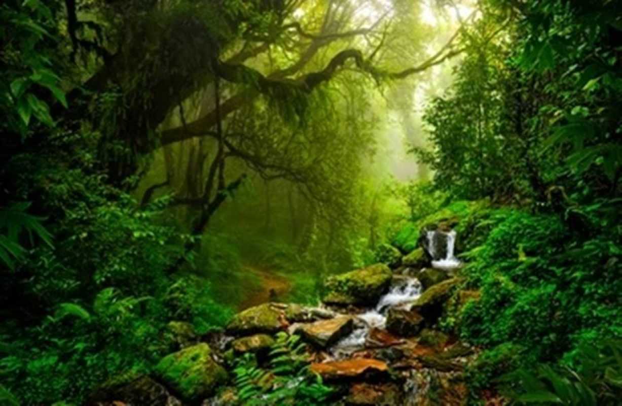 345 Wallpaper Pemandangan Hijau Images & Pictures - MyWeb