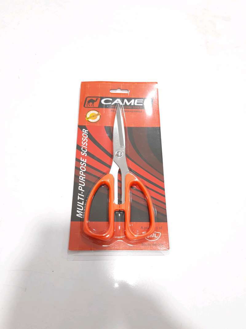 Jual Ikan Camel 🏷️ Original Terbaru, Terlengkap, & Harga Termurah April ...