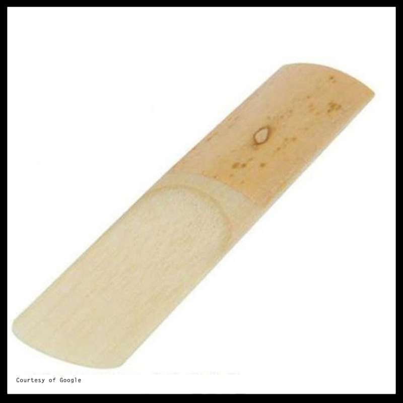 Jual Reed Alto Saxophone Bambu Bamboo Strength Replacement 2,5 Std Set di Seller ZEB STORE