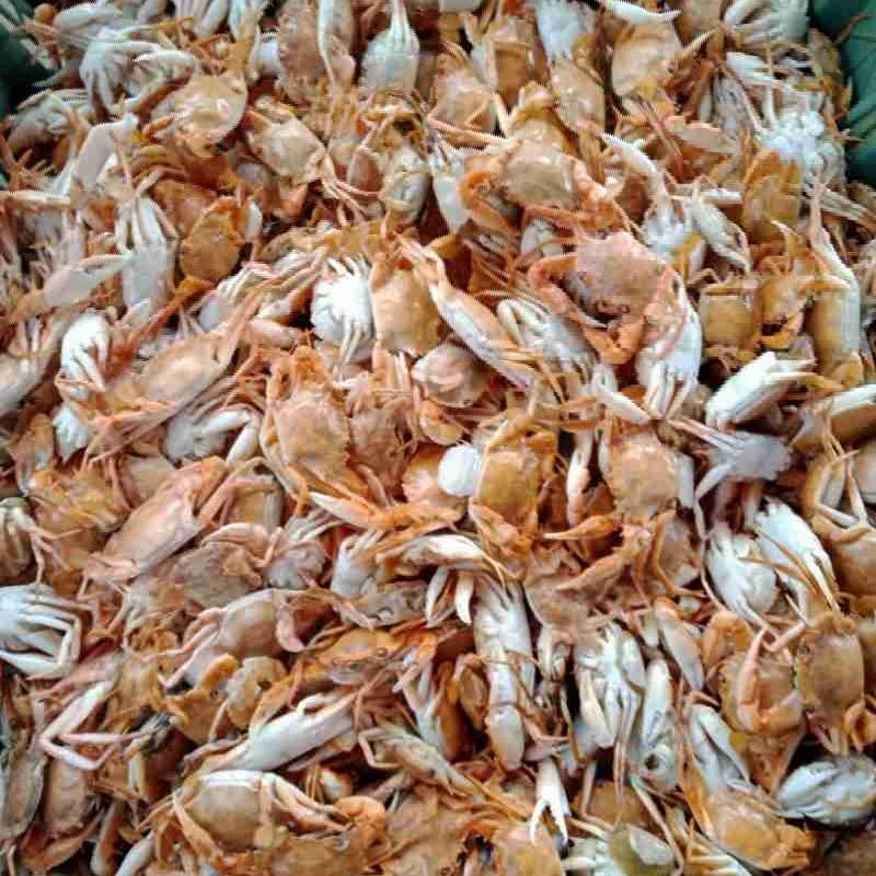 Jual baby crab frozen 1kg Halal di Seller Universeafood Karang Tengah