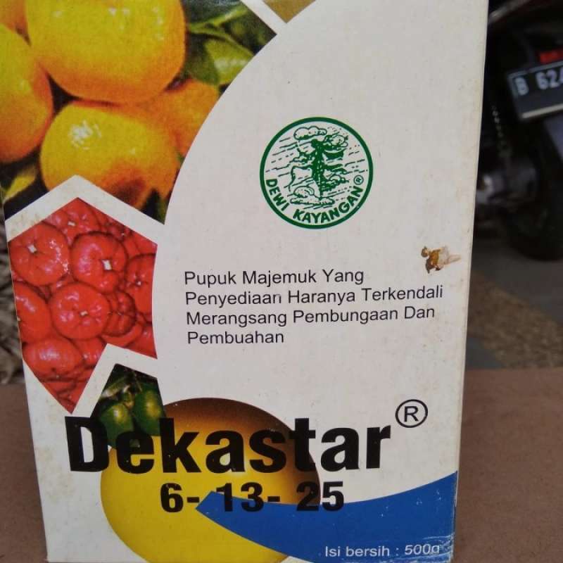 Promo Pupuk Dekastar 6 13 25 Asli Kemasan Pabrik Bukan Osmocote 500G