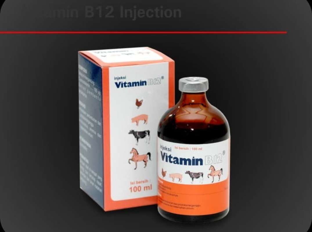 Promo Injeksi Vit B12 100 Ml Untuk Anemia Pada Hewan Obat Hewan