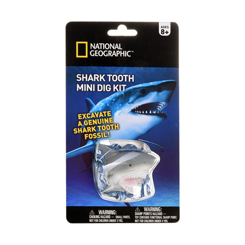 dig and discover shark tooth