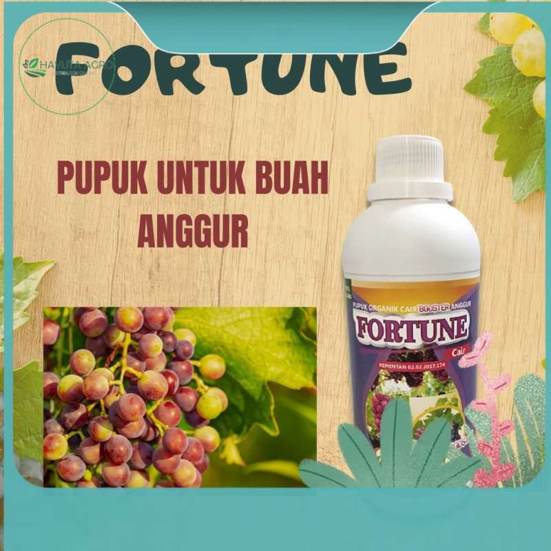 Anggur Rontok Jual Tanaman Anggur Sudah Berbunga Original Murah - Harga Diskon Mei ...