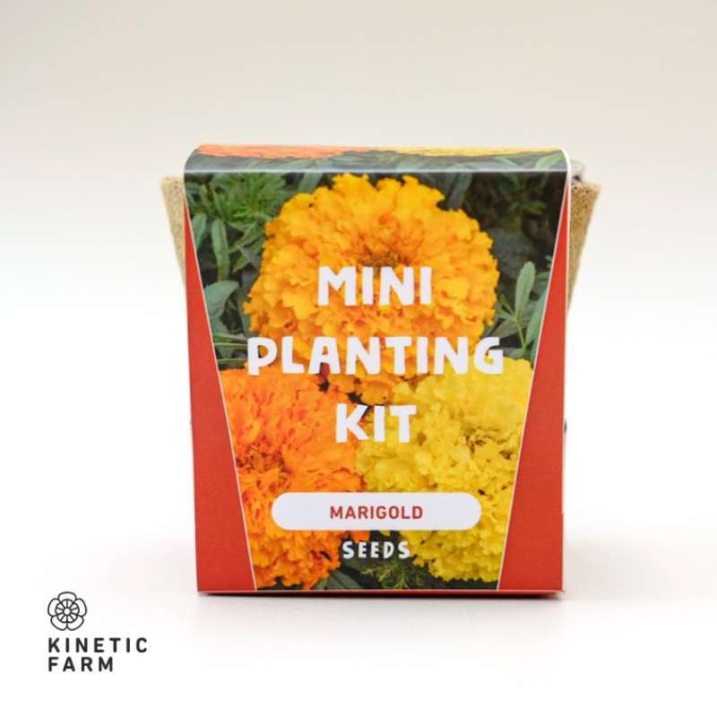 Jual MINI PLANTING KIT (FLOWERS) / KIT MENANAM BUNGA / FARM di
