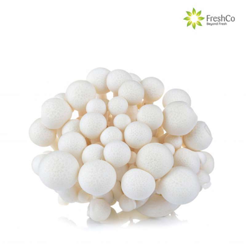 Jual FRESHCO MAKASSAR Jamur Shimeji Putih [ 1 pcs / 150 gr ] Halal di