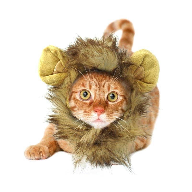 Jual Oziera Cat  Model Wig Rambut  Singa Baju Kucing  Brown 